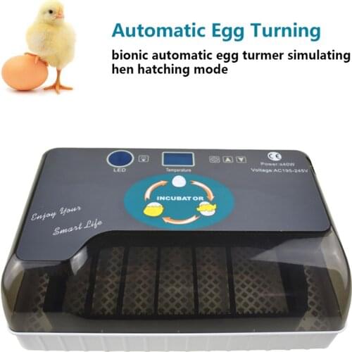 220V Egg Automatic Incubator 12 Chick Egg Large Capacity Incuator Digital Temperature Control Brooder Quality Hatchery Machine