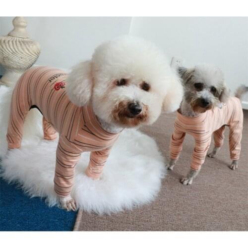 Spring Autumn Pet Dog Clothes Fruit Print Stripe Jumpsuits For Small Medium Dog Clothing Casual Sport Costumes Outerwear Romper