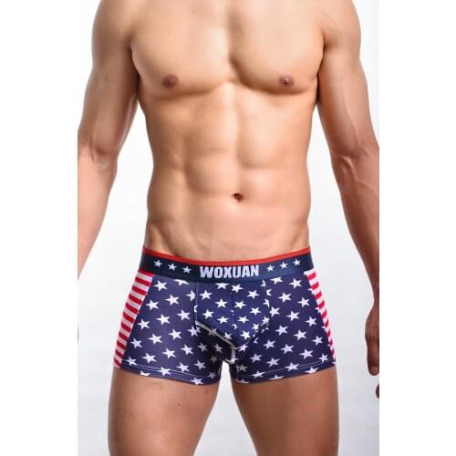 Hot Selling Sexy Men USA Flag Boxer Stripe Breathable Boxer Star Jockstrap Bermudas Masculina De Marca Sexy Ondergoed FX1012