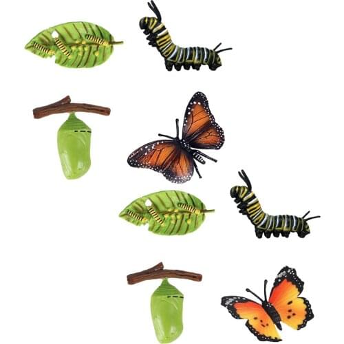 Kids Insects Cycle Figure Butterfly Animal Growth Model Playset Pre-school Cognitive Toys Teaching Aids