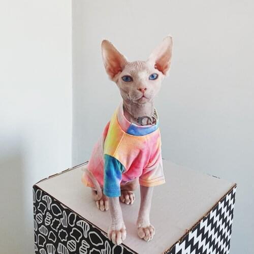 Hairless Cat Clothes Sphinx Deven Rainbow Breathable Sun-proof T-shirt Pet Clothes For Dogs Shirt Pet Cat Clothing Decoration