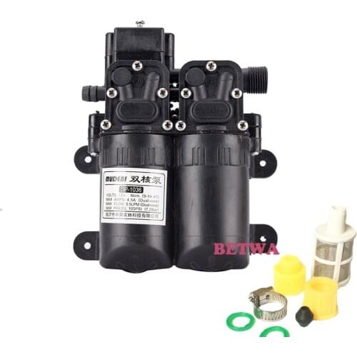 100W High Pressure 105PSI Water Pump 12V Double Head Electric Sprayer Pump 5.5L/MIN Flow