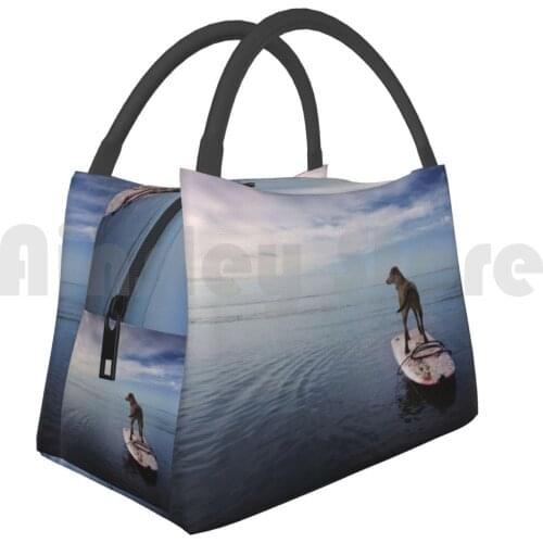 Portable Insulation Bag Owning The Day Alex Preiss Sales Collection Alex Preiss Challenge Winner Alex Preiss