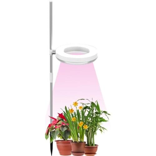 LED Ring Plant Growth Light 9-level Dimming Potted Plant Lamp Indoor Full-spectrum Fill Light Green Plants Succulent Spotlight