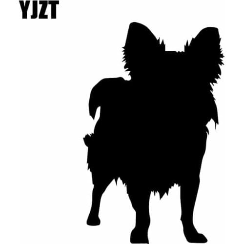 YJZT 10.1X15.9CM Car Sticker Funny Animal Chihuahua Dog Pet Animals Vinyl Decal Black/Silver C24-1433