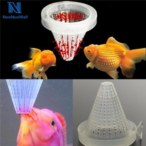 NuoNuoWell 5x Aquarium Cone Feeder Red Worms Fish Feeding Plastic Funnel With Sucker Easy To Fix