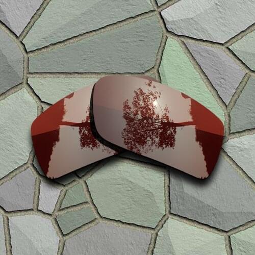 Bronze Brown Sunglasses Polarized Replacement Lenses for Oakley Gascan