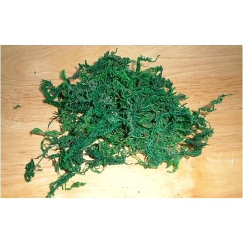Green natural dried bonsai moss for gardening plant Flower decoration 500g/pack