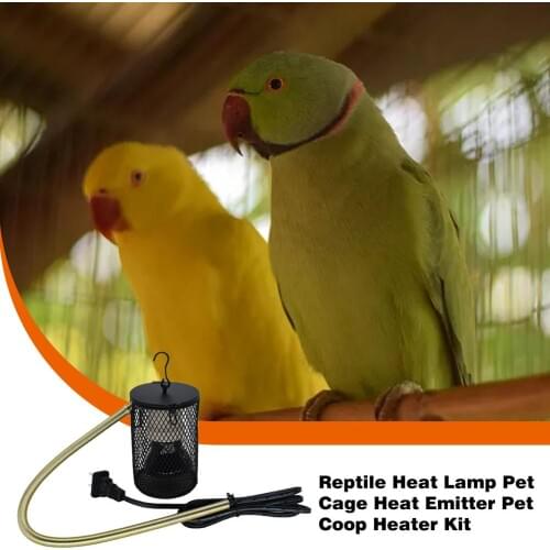 Parrot Warm Lamp Turtle Heating Lamp Birdcage Ceramic Lamp Cover Lizard Reptile Winter Supplies Bird Heater