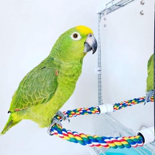 Acrylic Bird Mirror with Rope Perches Bird Toys Lovebirds Finch Canaries Swing Comfy Perch for Parakeet Cockatiel Conure