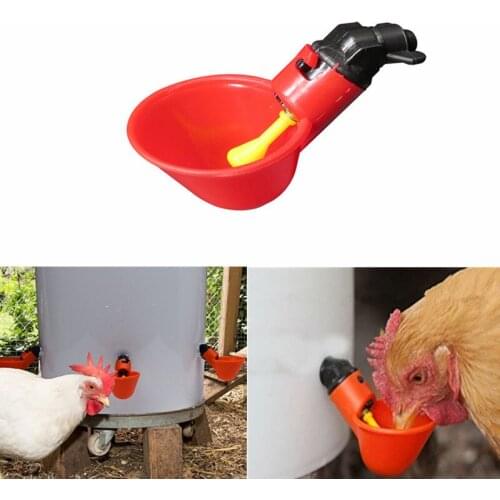 1Pcs Fully Automatic Bowl type Waterer Drinking Cups Plastic Feeder trough for Poultry Birds Gardening Breeding Tool With Screws