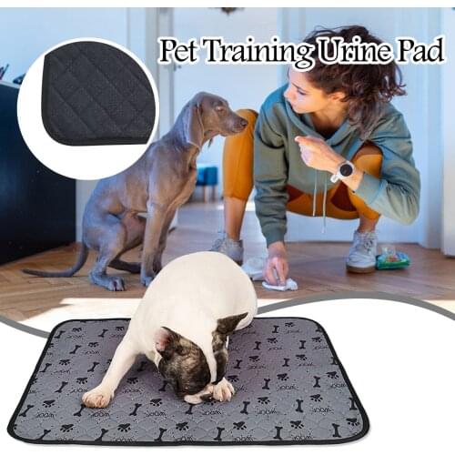 Pet Dog Training Pad Can Be Reused Fast Water Absorbent Washable Pet Urine Pad Accessories For Small Dogs Cats Pet Products