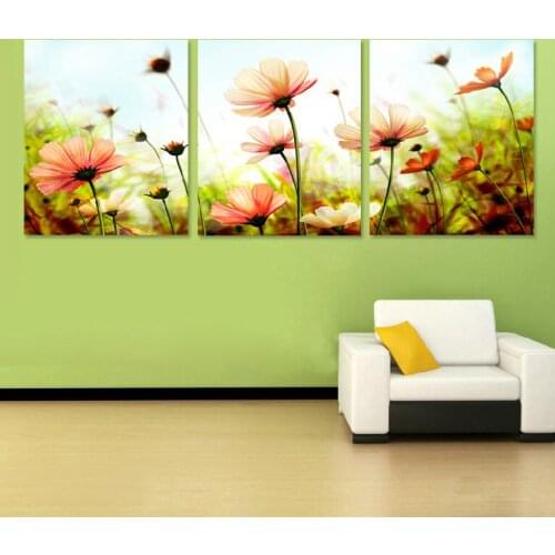 Three-picture combination Max Size 60x75cmx3 Frameless painting by numbers DIY oil painting gift P057