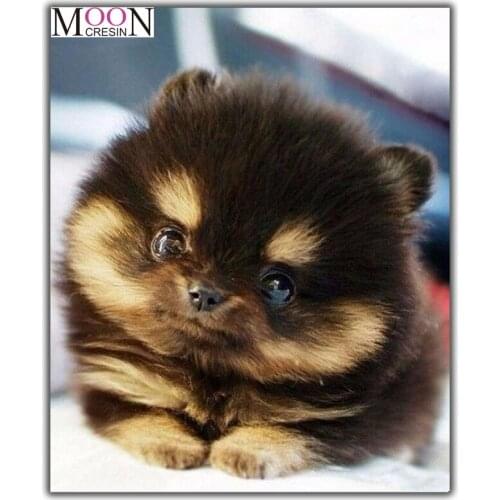 MOONCRESIN Diamond Painting Cross Stitch Cute Fat Dog Animal Diy Diamond Embroidery Full Round 3D Diamond Mosaic Decoration Gift