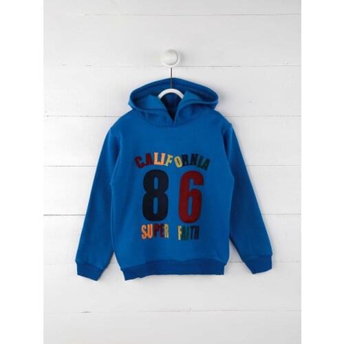 Blue Seasonal Male Child Sweatshirt