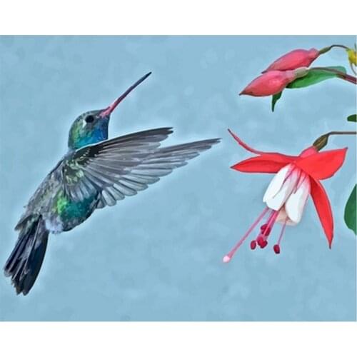 Frame 40x50cm Art Colorful Animals Abstract Painting DIY Bird Picked Flowers By Numbers Modern Wall Art Picture For Home Decor