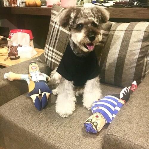 Pet Dog Summer Clothes for Small Dogs Pets Clothing Chihuahua French Bulldog Cotton Tshirt Ropa Perro PC0727