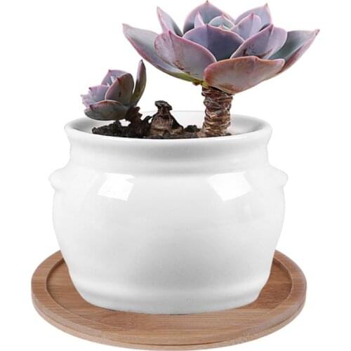 Round Bamboo Wood Saucer Plant Tray Mini Plant Flower Pot Stand Favor Succulent Pot Tray Simple Elegant Design Home Balcony Deco