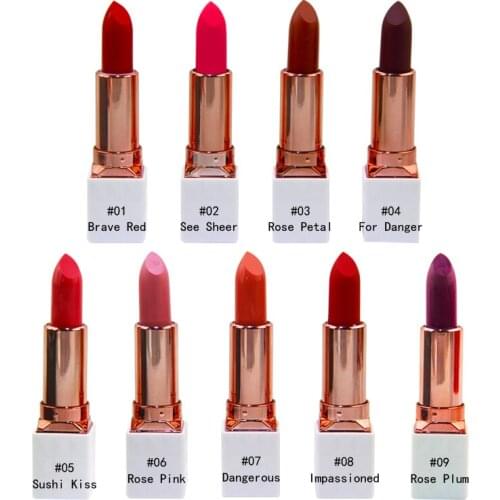 Matte Moist Lipstick Pigmented Sexy Lipstick Long Lasting Makeup Waterproof Cosmetics Red Nude Lipstick Vegan Custom Label