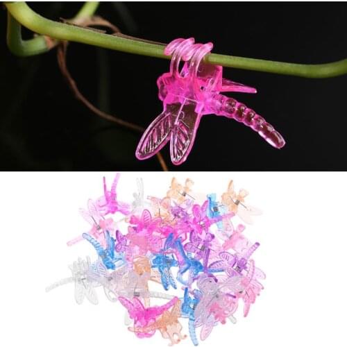 30Pcs Dragonfly Orchid Clips Orchid Grower Support Cute Garden Plant Flower Vine Support Clips