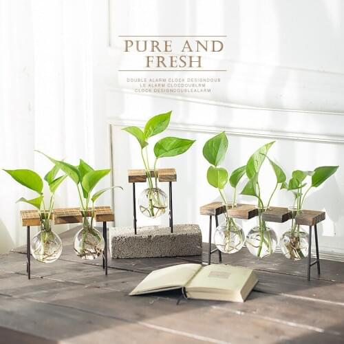 Water Desktop Originality Transparent Glass Bottles Vase Decoration Flower Goods Of Furniture For Display Rather Than For Use