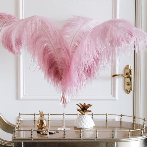 Real Ostrich Feather Wedding Party Decor Home Decor Feather Fiancee Decor Sample Room Decor