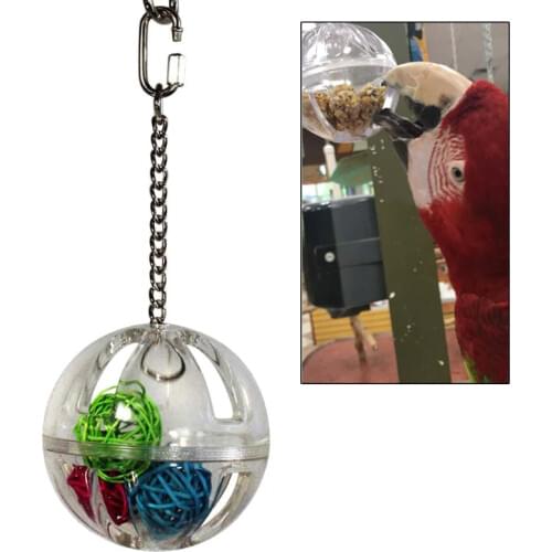 Parrot Chew Toy Hanging Foraging Ball with Balls Inside Bird Cage Acrylic Stand 2pc/lot
