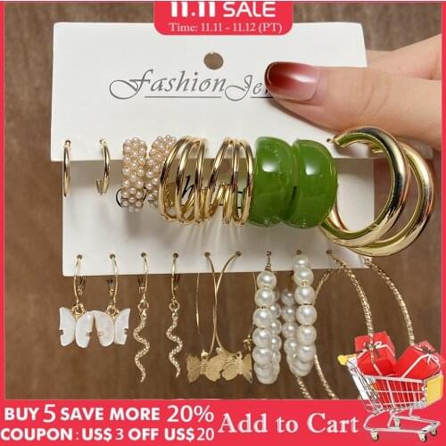 Fashion Leopard Acrylic Hoop Earrings Set For Women Geometirc Gold Metal Hoop Earrings Brincos 2021 Trend Jewelry Party