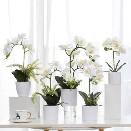 High Grade Butterfly Orchids Flower Arrangement Latex Silicon Real Touch Folwers Bonsai OfficeTable Home Hotel Decor with Vase