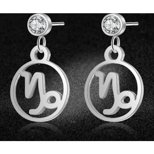 AAAAA Quality 100% Stainless Steel 12 Constellation Zodiac Charm Earring for Women Gift Super Fashion Earrings Wholesale