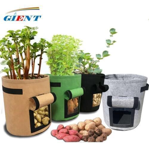 6 Colors Planting Bag Non-Woven Fabric Thickened Beautiful Planting Bag Sweet Potato Potato Seed Strawberry Pplanting Bag