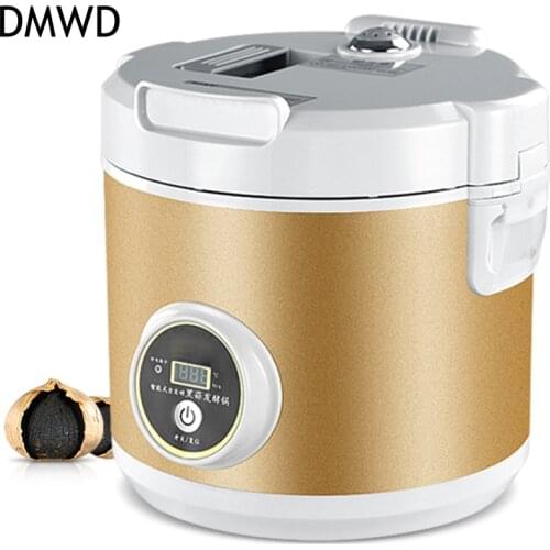 DMWD black garlic machine ferment zymolysis zymosis garlic household appliances for the kitchen food processor tools Automatic