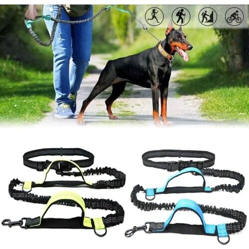 Reflective Leash Traction Rope Pet Dog Running Belt Elastic Hands Freel Jogging Pull Dog Leash for Small Medium Training Walking