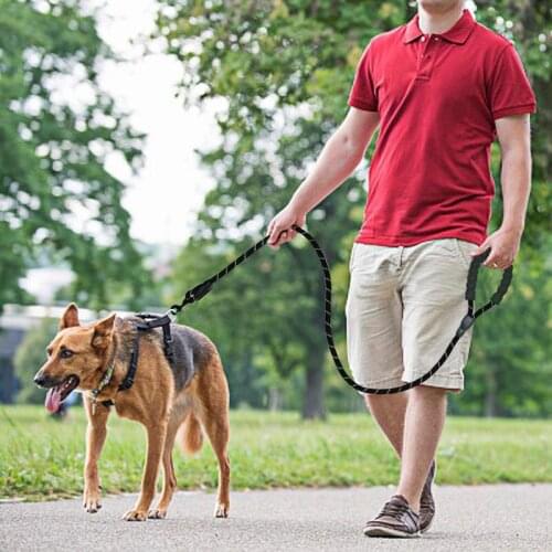 Pets Accessaries Reflective Traction Ropes Nylon Dog Walking Lead Rope For Pet Dogs Long Traction Belts Outdoor Walking Training