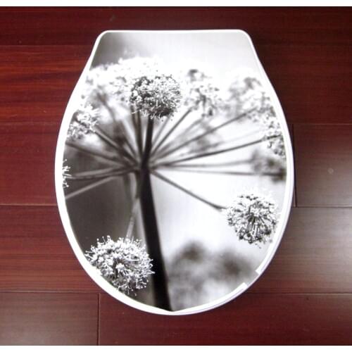 Toilet seat cover set hot sales fashion bathroom toilet lid cover standard closing 2019 high quality colorful pp toilet seat