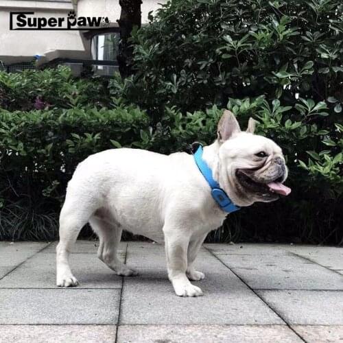 Superpaw Leashes For Dogs