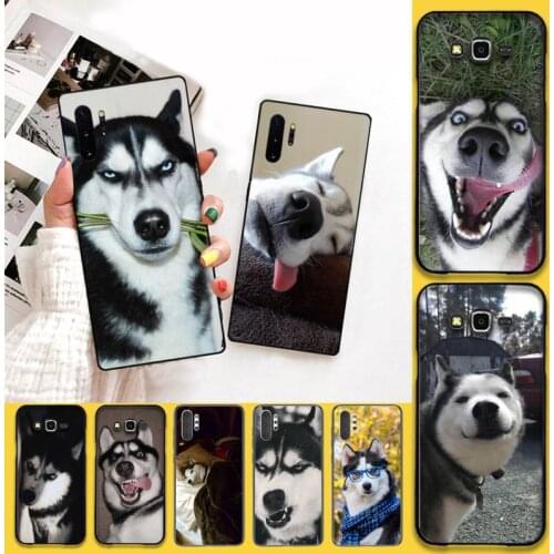 YJZFDYRM Funny husky Newly Arrived Black Cell Phone Case For Samsung Note 7 8 9 10 Lite Plus Galaxy J7 J8 J6 Plus 2018 Prime