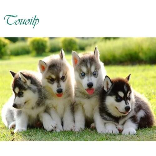 DIY 5D Full Diamonds Embroidery lovely husky,animals, square Diamond Painting Cross Stitch Kits Diamond Mosaic,home decoration