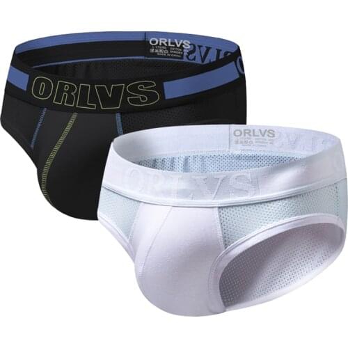 ORLVS 2PC/LOT Brand Sexy Gay Briefs Men Underwear Mesh Nylon Comfortable Panties Breathable Quick Dry Men Underpants Cueca Tanga