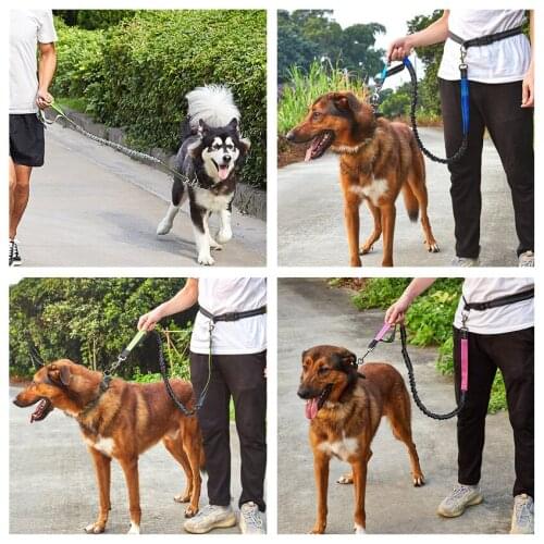 Hands Free Dog Leash for Running Walking Training Hiking, Dual-Handle Reflective Bungee,Adjustable Waist Belt, Shock Absorbing