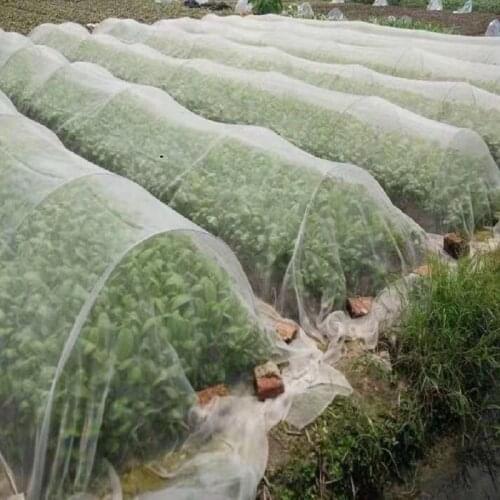 40/60/80 Mesh Greenhouse Anti-Pest Netting Fruit Trees Vegetable Flower Plants Control Pest Protection Cover Nylon Net