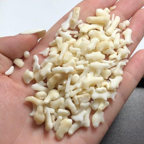 100% Natural White Coral gravel Aquarium Landscaping Furnishing Ornaments Home Decoration