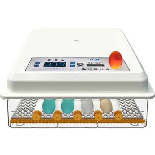 220V Eggs Incubator Brooder Bird Quail Chick Hatchery Incubator Poultry Hatcher Turner Automatic Farm Incubation Tools