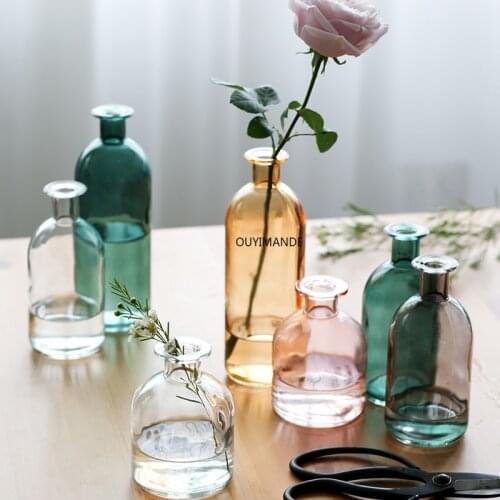 Vase Living Room Dried Flowers Nordic Ins Style Glass Transparent Dill Home Decoration Accessories Flower Vases For Homes