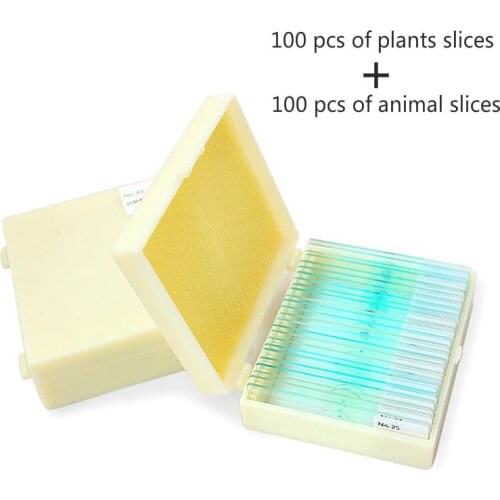 200 kinds of Microscope biopsies 100 kinds of plant slices and 100 kinds of animal slices Frosted edge Optical glass