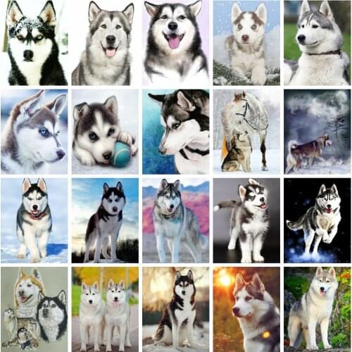 Huacan 5d Diamond Painting Full Drill Square Dog Mosaic Animal Home Decoration Embroidery Husky Diamond Art