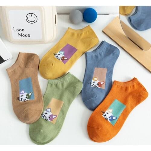 Spring Summer Thin Kawaii Cartoon Woman Socks Cototn Japanese Harajuku Style Funny Socks Women 42301