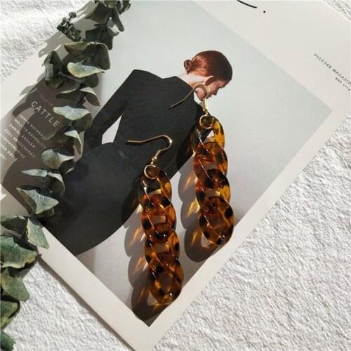 Retro leopard Earrings acrylic simple chain earrings fashionable womens Earrings