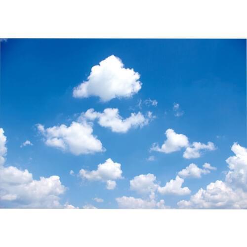 Custom 3D Ceiling Mural Wallpaper European Style Blue sky and white clouds HD painting ceiling mural