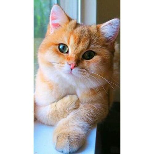 Diamond Art Pet Cat Diamond Art Full Drill Cross-Stitch Diamond Painting Full Drill